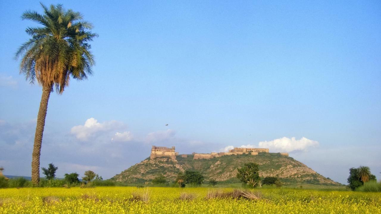 Neemrana'S - Tijara Fort Palace Екстер'єр фото